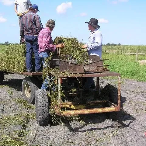 thumbnail for publication: Forage Planting and Establishment Methods on Prepared Seedbed